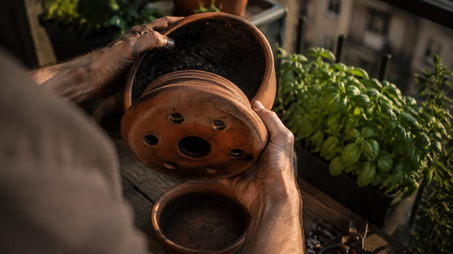 A hand checks a deep terracotta pot with loose soil beside its drainage holes and an empty saucer.