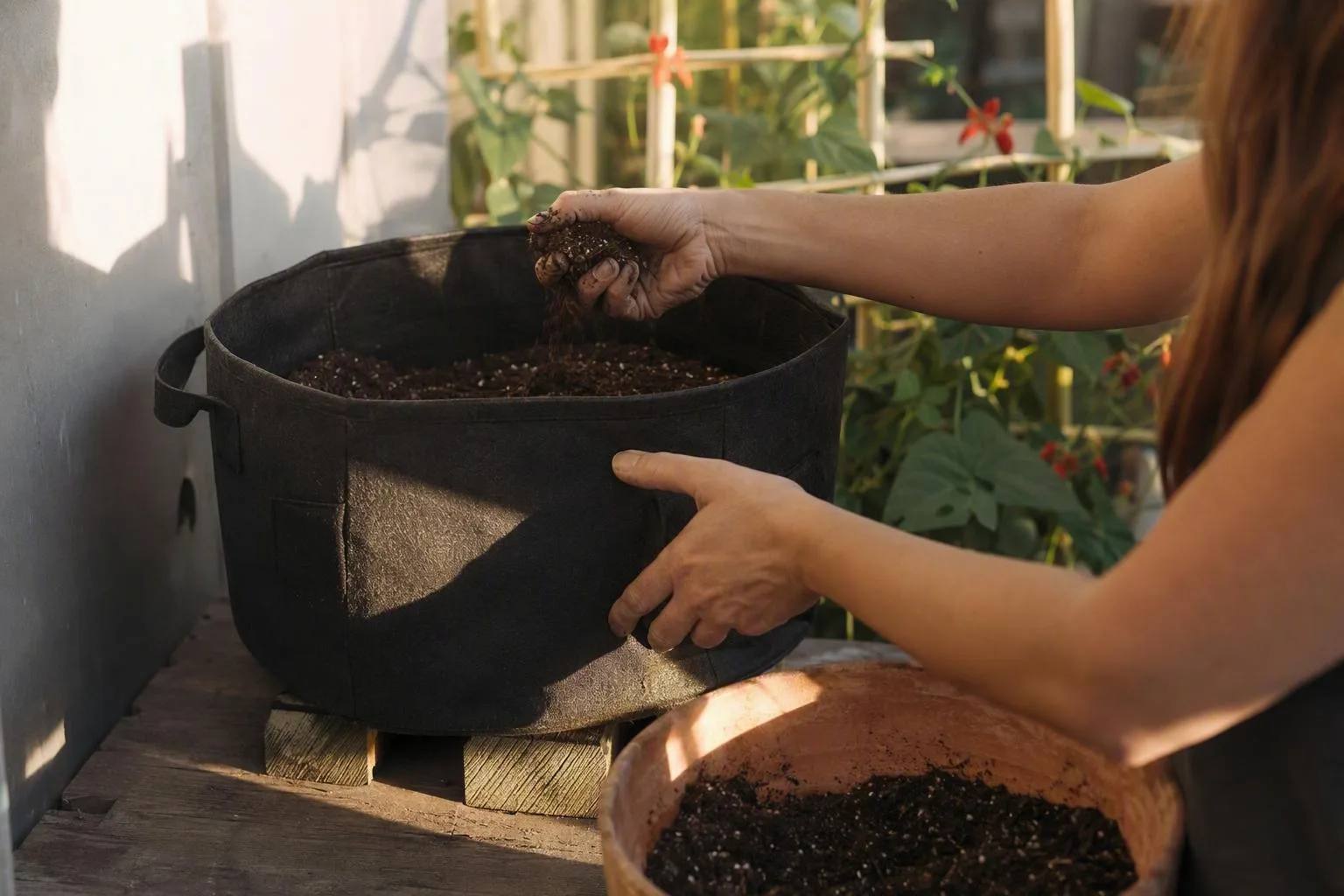 A deep container, loose soil, and clear drainage openings show a balcony setup ready for beans.