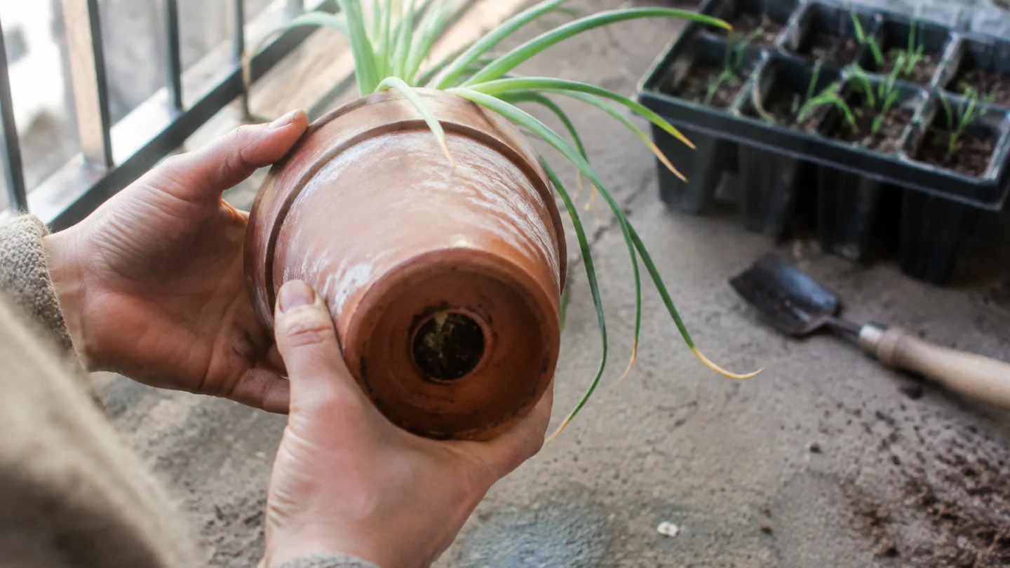 A hand lifts an onion pot to inspect its open drainage hole, helping excess water escape.