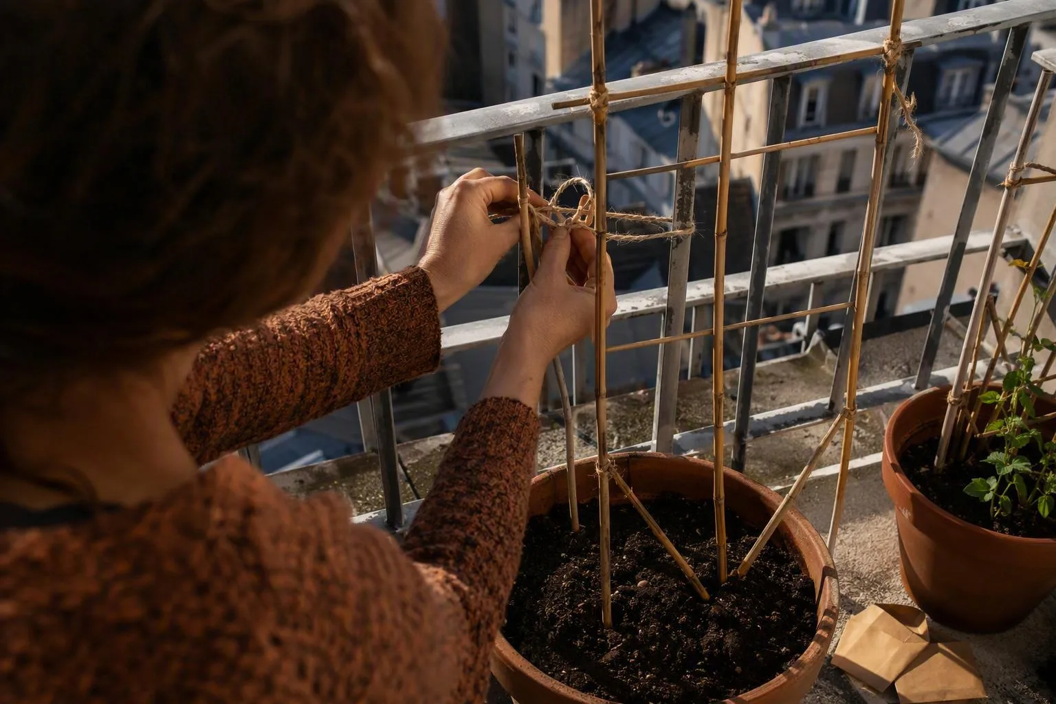 Hands secure a tall bamboo trellis to a heavy pot and balcony rail before pea seeds are planted.