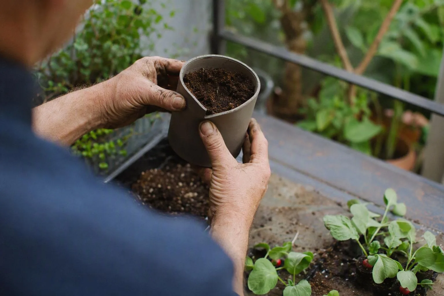A ruler measures the interior depth of a pot filled with radish mix.