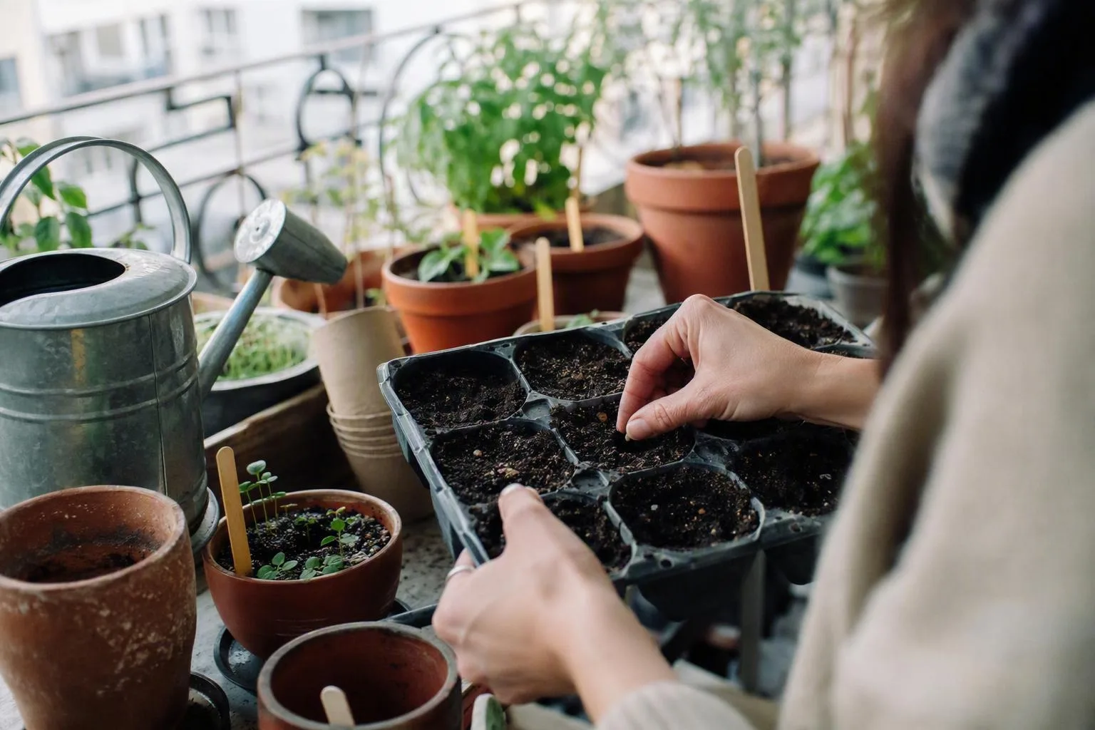 Hands sow seeds in shallow reused pots beside a watering can on a bright balcony sill.