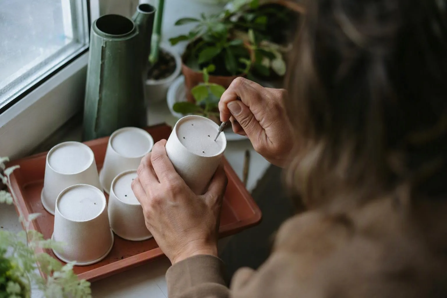 Hands punch drainage holes in clean reused cups arranged inside a catch tray for planting.