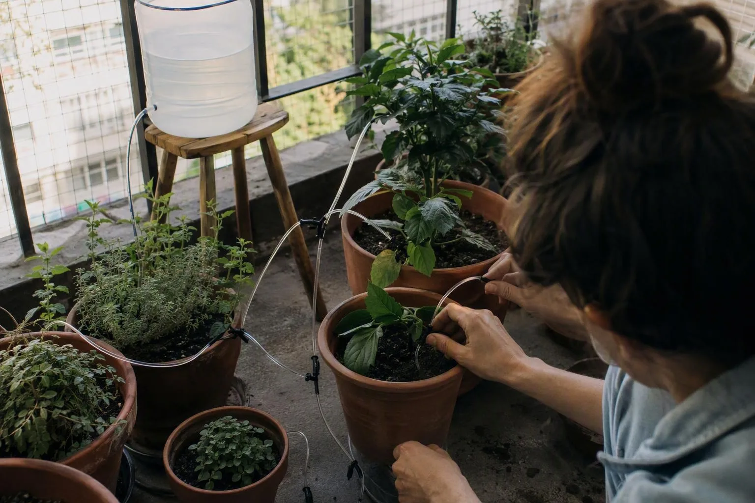 A raised reservoir feeds thin tubes into balcony pots, showing a simple way to water plants while away.